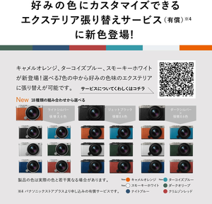 Appareil photo hybride plein format Panasonic S9 avec objectif S 18-40mm F4.5-6.3, (Argent) DC-S9NS (Modèle international) Capteur CMOS - Product Image 2