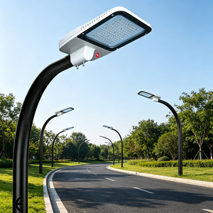 Lampione LED Durevole per Esterni con Alloggiamento in Alluminio e Design Rettangolare per Illuminazione Stradale Urbana e Aree Industriali - Product Image 3