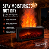 Humidificateur à flamme style cheminée, compact, multifonctionnel, avec haut-parleur, lumières colorées, alimentation USB, mural, pour la maison