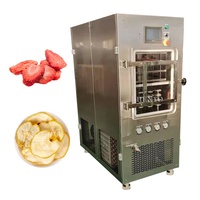 Automatische vacuümvriesdroger voor fruit- en groentechips / Vacuümvriesdroger voor voedsel / Vacuümvriesdroogmachine