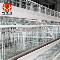 Jaula Avanzada YiFeng de Nueva Generación para Gallinas Ponedoras, de Alambre de Acero de Bajo Carbono, Modelo YF-A120/YF-A160, Fabricada en Henan, China