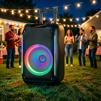 Enceinte Karaoké avec Micro et Bluetooth, Enceinte Trolley Double 12 Pouces avec Micro Sans Fil