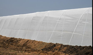 Servicio de Corte Personalizado de Vegetales, Malla de Protección para Jardín de Flores, Red Antiinsectos para Invernadero - Product Image 6