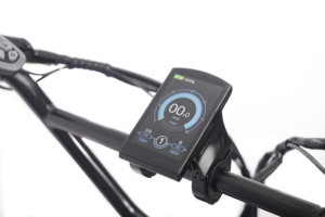 Fantas-bike 750W Bicicletta <span class=keywords><strong>Elettrica</strong></span> Pieghevole a Sospensione Completa con Pneumatici Fat da 20 Pollici per Neve con Ammortizzatore per Adulti - Product Image 3
