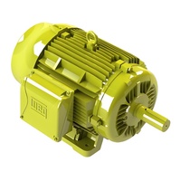 Moteur IE3 WEG W22 750~2980 tr/min 2 CV 4 CV 10 CV 75 CV 150 CV 270 CV 300 CV 380 CV Moteur électrique triphasé pour machine de découpe