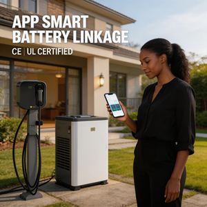 Estación de Carga Rápida AC Starcharge Artemis de 7kW, 11kW y 22kW, Diseño Moderno y Minimalista, Cargador EV Premium Residencial de Lujo - Product Image 4