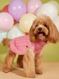 Puro colore morbido nuovo stile invernale Pet Dog maglione due gambe Casual elastico torsione maglia tinta unita Plaid per cani gatti - Product Image 4