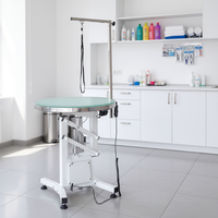 Table de toilettage pliable en acier inoxydable pour animaux de compagnie EUR PET, moderne, pour chiens et chats, avec LED, pour salon de toilettage
