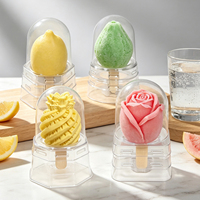 Moule à glace aux fruits INS, boîte d'emballage transparente en PET, framboise, fraise, ananas, dessert, plateau 3D en forme de grande fruits
