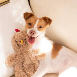 Toptan en iyi Pet malzemeleri kırışık peluş köpek oyuncaklar ses yapma büyük düz ağızlı ördek kürdan ve ısırma oyuncaklar - Product Image 5