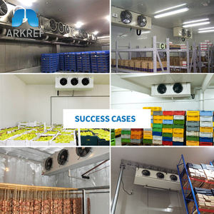 Evaporatore di Ammoniaca, Evaporatore Refrigerante Raffreddato ad Aria per Celle Frigorifere - Product Image 3