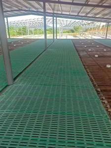 Plataforma de suelo para cerdos con protección contra fugas de estiércol para la industria minorista con 1 año de garantía - Product Image 2