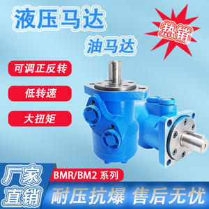 มอเตอร์ไฮดรอลิกไซโคลิดอลแรงบิดสูงจากโรงงานโดยตรง รุ่น BMR/BM2 มอเตอร์น้ำมันความเร็วต่ำ - Product Image 3