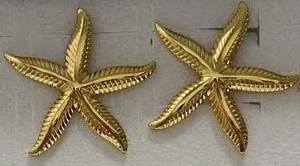 <span class=keywords><strong>Orecchini</strong></span> <span class=keywords><strong>a</strong></span> <span class=keywords><strong>Stella</strong></span> <span class=keywords><strong>Marina</strong></span> in Acciaio Inossidabile Dorato, Design Vari, Resistenti allo Sbiadimento, per Donne JQ-005 - Product Image 4