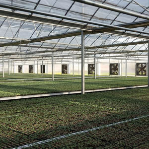 Fuers — serre agricole à films multiples, produit de fabrication chinoise, vente en gros, bon marché - Product Image 5