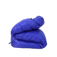 Sac de couchage mummy 90 % duvet blanc pour adultes, idéal pour le camping en extérieur par temps froid, portable, léger et chaud pour l'hiver