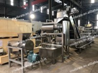 Extracteur de jus à froid haute productivité grande capacité VBJX – Presse-agrumes, mixeur et broyeur à vis