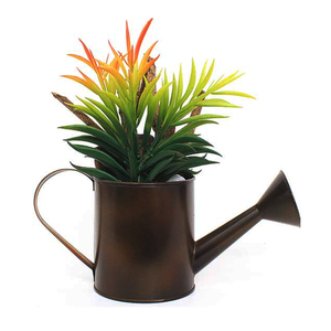 Copper Antiqui Garden Custom Metal Watering Can Hot Selling and High Quality - Product Image 1
