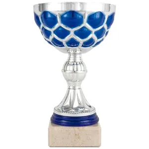 Coppa Sportiva Argentata con Dettagli Blu e Base Trasparente – Personalizzabile - Product Image 1