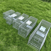 Juego de Trampas para Animales Vivos Sólidas y Humanitarias, Tamaños XS-S-M-L-XL - Jaula Plegable Galvanizada para Captura y Liberación de Mapaches, Zorros y Coyotes