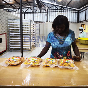 High Quality Mango Dryer Machinery Mango Dehydrator Processing Machine Mango <b>Drying</b> <b>Equipment</b> - Product Image 3