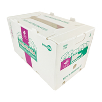 Boîte en plastique ondulé Coroplast PP empilable, imperméable, réutilisable et recyclable pour l'emballage de légumes surgelés (brocoli) Yuexin