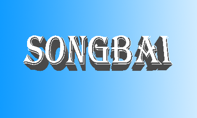 Zhengzhou Songbai Machinery Equipment Co., Ltd. logo