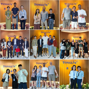 ต่างหูยาวสุดหรูพลอยทับทิมเริ่มแรกตัดวงรี6*8มม. การตั้งค่ากรงเล็บชุบทองการออกแบบเงา925ต่างหูเงินกระดุม - Product Image 5