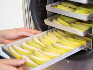 <span class=keywords><strong>Machine</strong></span> de lyophilisation de fruits et légumes alimentaires lyophilisateur sécheur sous vide à bon prix - Product Image 6