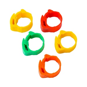 Anillo <span class=keywords><strong>de</strong></span> <span class=keywords><strong>pie</strong></span> <span class=keywords><strong>de</strong></span> aves <span class=keywords><strong>de</strong></span> corral <span class=keywords><strong>de</strong></span> varios colores, etiqueta <span class=keywords><strong>de</strong></span> <span class=keywords><strong>pie</strong></span> <span class=keywords><strong>de</strong></span> ajuste <span class=keywords><strong>de</strong></span> pollo, anillo <span class=keywords><strong>de</strong></span> <span class=keywords><strong>número</strong></span> <span class=keywords><strong>de</strong></span> banda <span class=keywords><strong>de</strong></span> pierna - Product Image 3