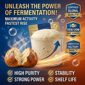 <span class=keywords><strong>Levadura</strong></span> Seca Instantánea Halal 500g para Panadería, Fermentación Rápida, Alta Actividad, Marca Jiangpai, Fabricante Jiuding, 2 Años <span class=keywords><strong>de</strong></span> Duración - Product Image 3