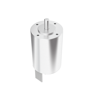 Motor sin núcleo Bibo de la serie FL40SBL de 600 VCA/1s, 22 mm, con conmutación sin escobillas, de proveedor de fábrica chino - Product Image 1