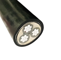 Kabel Inti Aluminium Berlapis PVC Berisolasi untuk Industri & Konstruksi Kelautan Tegangan Rendah