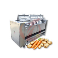 Groenteverwerkingsmachine Borstelreiniger Dunschiller