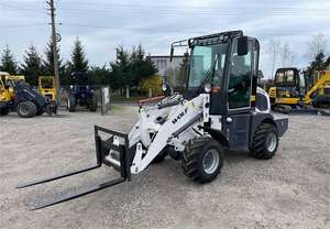 لودر أمامي صغير من نوع Qingdao <span class=keywords><strong>Zongjin</strong></span> Wolf WL100 للبيع - Product Image 4