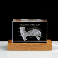 Sinyore Nuovo Cubo di Cristallo K9 Inciso al Laser 3D, Blocco di Vetro Inciso con Struttura Cerebrale e Cardiaca, Base Luminosa, Ornamento Religioso a Cartone Animato