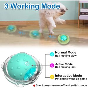 Jouet interactif pour chat Waaiio, balle mobile automatique dans une pochette, stimulation sonore, jeu de cache-cache, exercice pour chats d'intérieur - Product Image 6