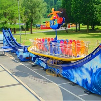 Attractions de parc d'attractions chinoises pour jeux de surf électrique en plein air