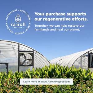 ผงสำเร็จรูปสีเขียวซุปเปอร์สำหรับผู้ใหญ่มีฉลากตามต้องการ - Product Image 5