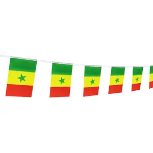Senegal Flag Senegalese Flag Custom String Bunting Pennant Flag for Festival Party Bar Sport Club Decoration 2024