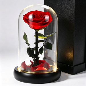 Rosa Natural Preservada, Rosa Eterna de Larga Duración para el Día de San Valentín, Bodas, Cumpleaños, Decoración del Hogar, Regalo - Product Image 3