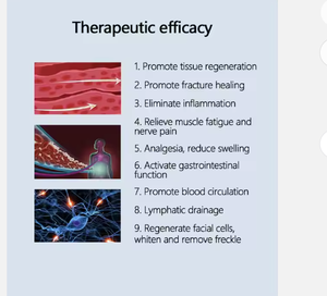 Gelombang magnetik negatif penghilang nyeri, Terapi magnetik perawatan rehabilitasi fisik meningkatkan sirkulasi darah - Product Image 6