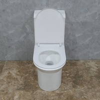 WC monobloc en céramique à siphon S-trap 300 mm, double chasse, fermeture douce, qualité supérieure, prix usine, pour villa