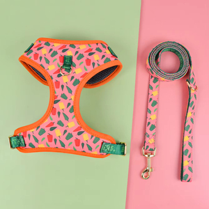 MIDEPET Cadeau de la Saint-Valentin et du Nouvel An, <span class=keywords><strong>harnais</strong></span> pour <span class=keywords><strong>chien</strong></span> en nylon réfléchissant BSCI avec sac à dos, collier et laisse - Product Image 3