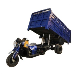 Nouveau style de tricycle motorisé 300cc pour passagers et marchandises, tricycle à essence à trois roues - Product Image 1