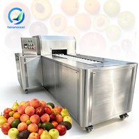 OCEAN Commerciële Machine voor het Ontpitten van Verse Kersen, Olijven, Gedroogde Rode Dadels en Fruit
