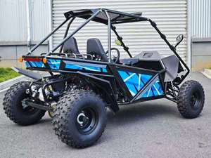 Buggy de Playa Todoterreno de 200cc y 4 Tiempos, Go Kart, Buggy Divertido para Exteriores - Product Image 5