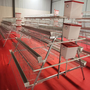 Meksika'da kanatlı tavuk tabakası yeni verimli hayvan kafesi için toptan <span class=keywords><strong>a</strong></span>-tipi galvaniz döşeme tavuk kümesi pil kafesleri - Product Image 4