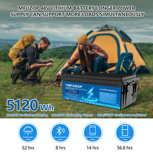 Ab <span class=keywords><strong>PL</strong></span> stok 6000 döngüleri güneş ev enerji depolama sistemi lityum iyon batarya 51.2V 48 48V LiFePO4 lityum iyon piller paketi - Product Image 5