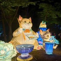 Lanterne LED personnalisée grand format sur le thème du chat, étanche, pour festivals, Ramadan, rentrée scolaire, extérieur, jardin, sculpture lumineuse, événements, parcs
